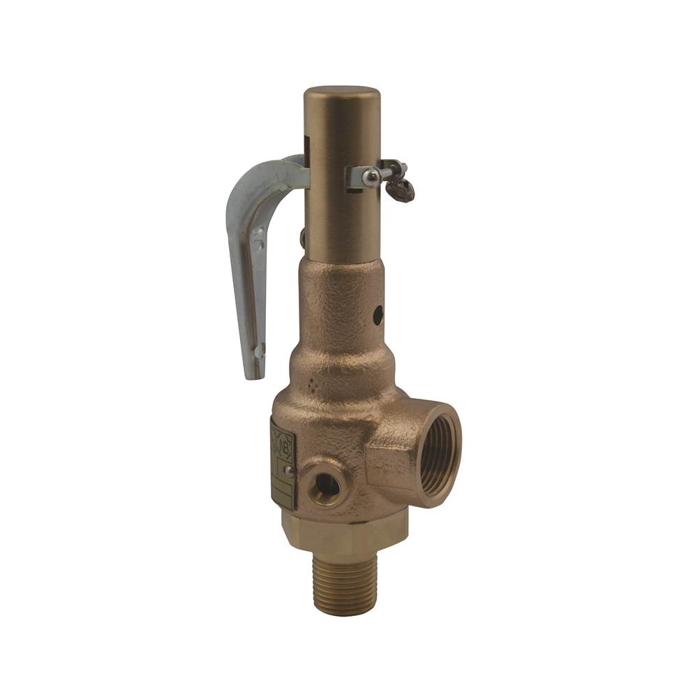 Apollo Asme Sec I Steam Bronze Safety Relief Valve With Brass Trim, Metal Seat, Performance Test Reports Included, 200 Psig, 1-1/4'' X 1-1/2'' (Mnpt X Fnpt)