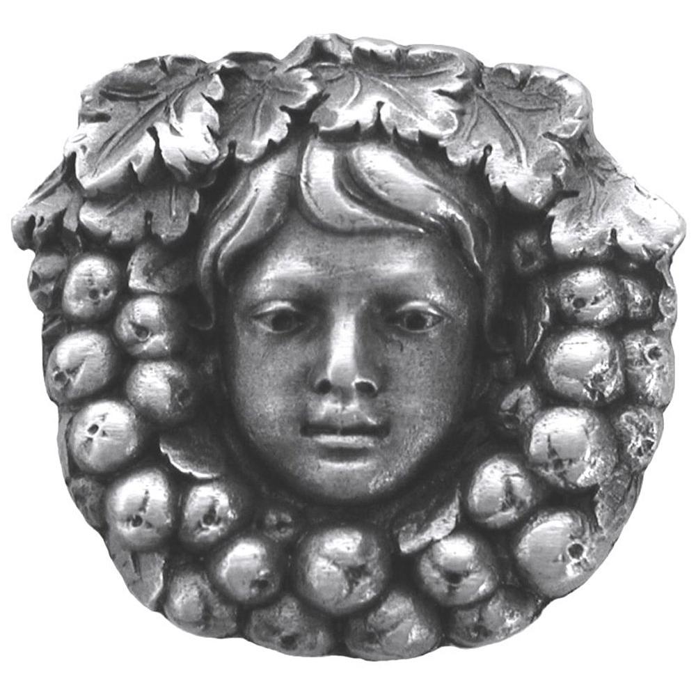Notting Hill Fruit of the Vine Knob Antique Pewter